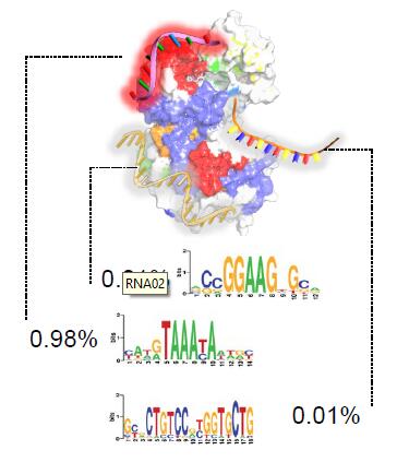 Protein-RNA interaction prediction with deep learning: Structure matters